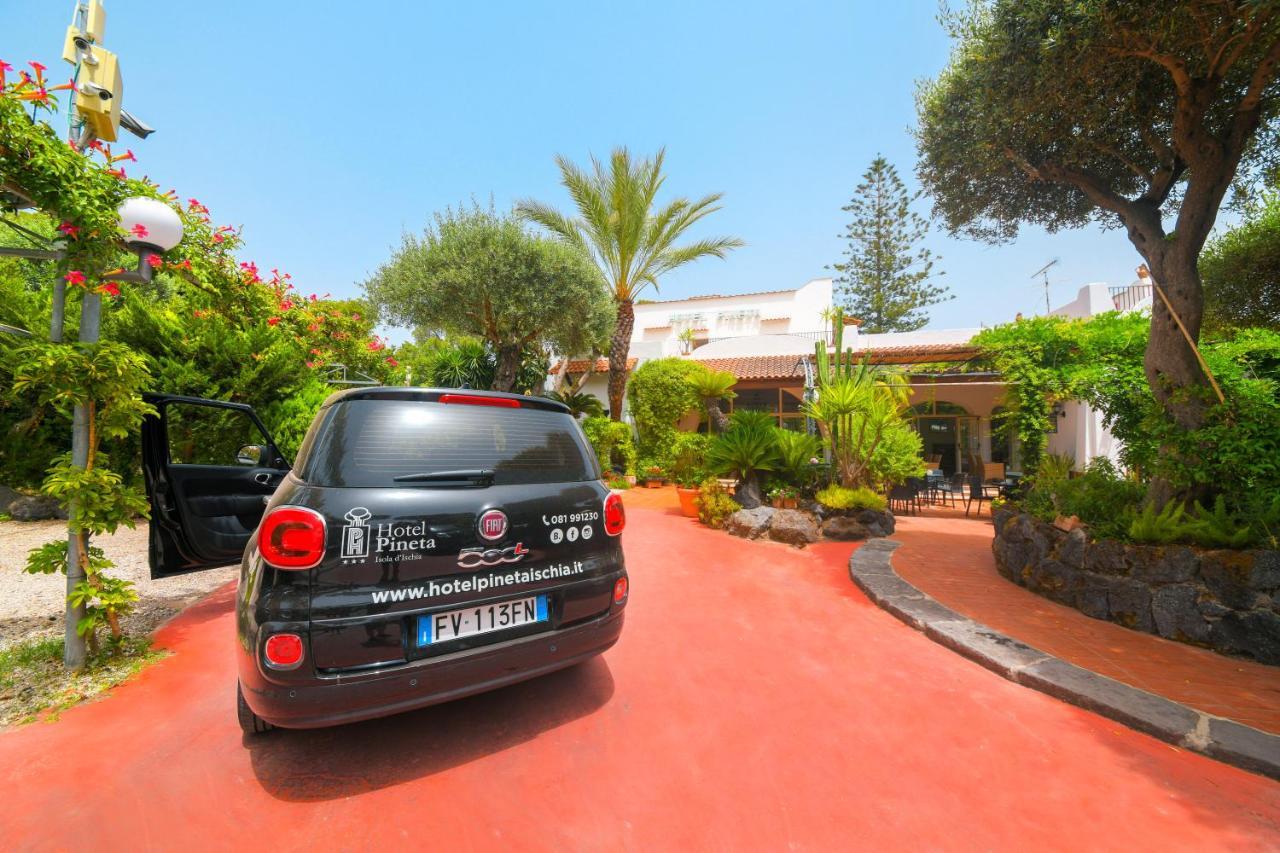 Hotel Pineta Ischia Eksteriør billede