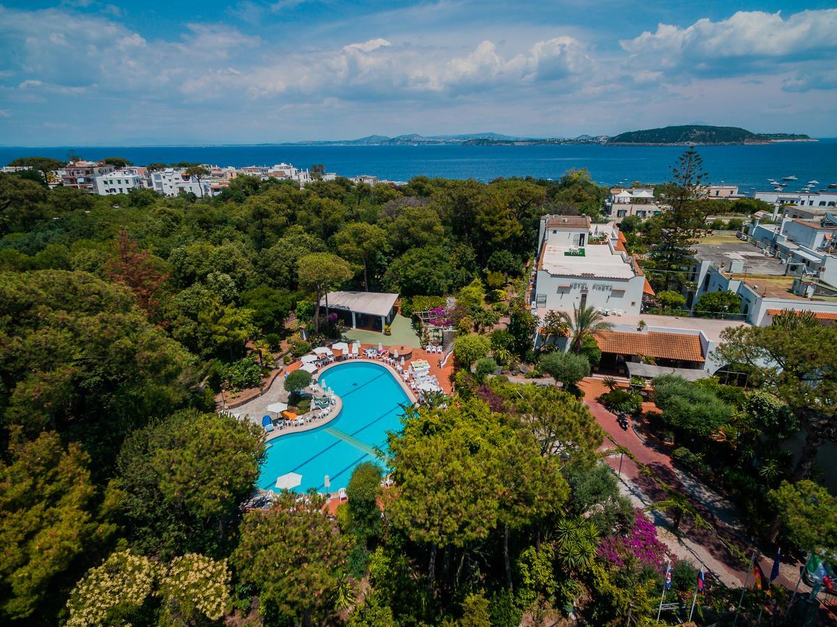 Hotel Pineta Ischia Eksteriør billede
